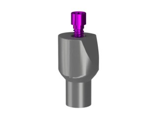 EASY FIX - SCAN ABUTMENT